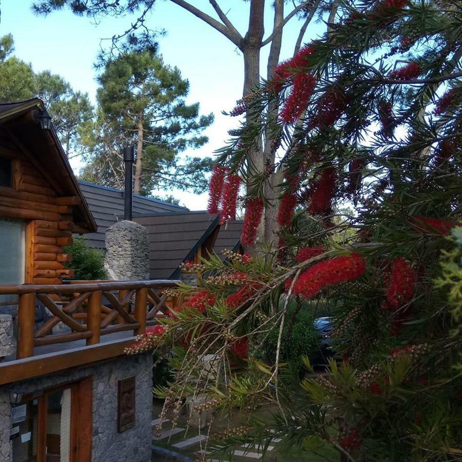 Cabanas Mapuche Mar de Las Pampas Exterior photo